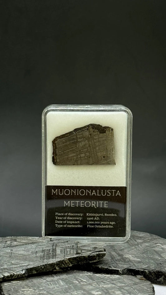 Muonionalusta Meteorite Display – 7.44g Encased Specimen