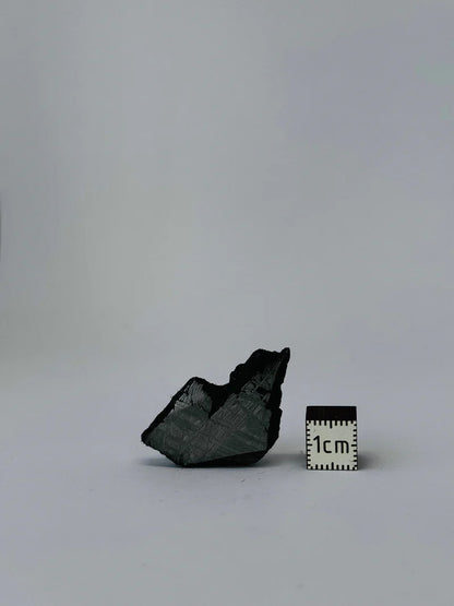 Muonionalusta Meteorite Fragment – 9.45g | Sweden