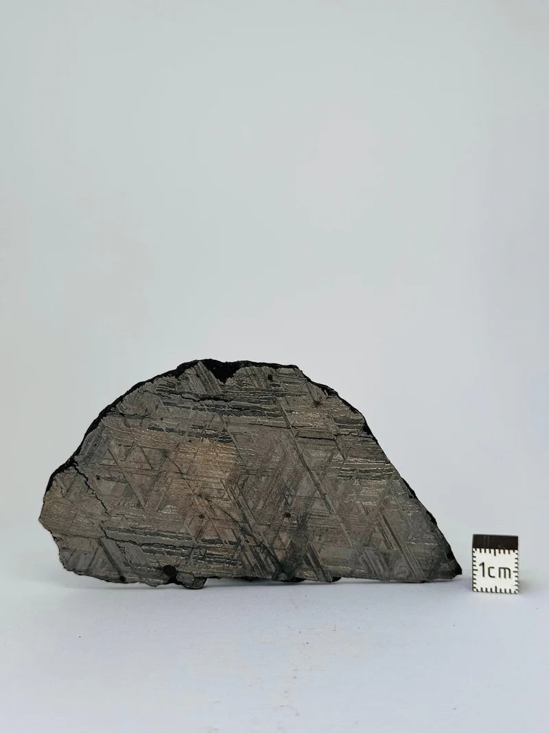 Muonionalusta Meteorite Slice – 88.12g | Sweden