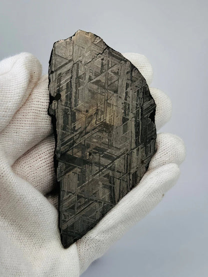 Muonionalusta Meteorite Slice – 88.12g | Sweden