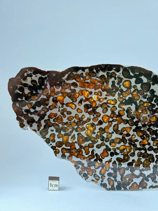 Sericho Meteorite Specimen – 87.90g | Kenya
