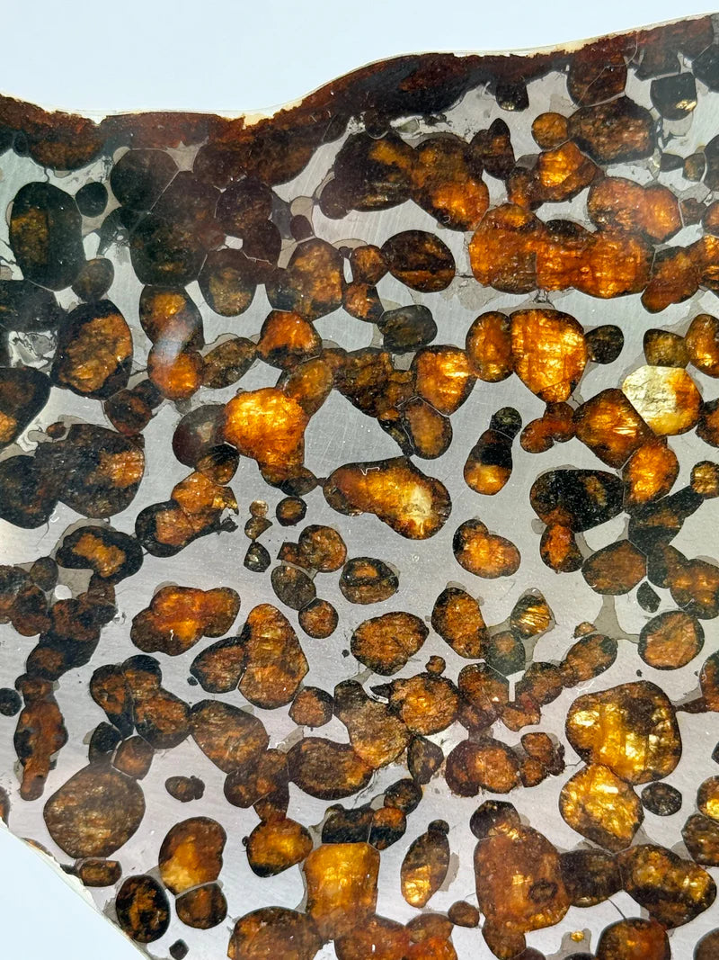 Sericho Meteorite Specimen – 87.90g | Kenya