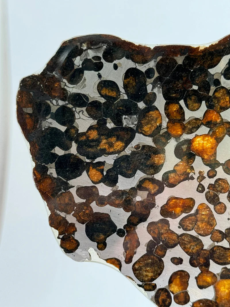 Sericho Meteorite Specimen – 87.90g | Kenya