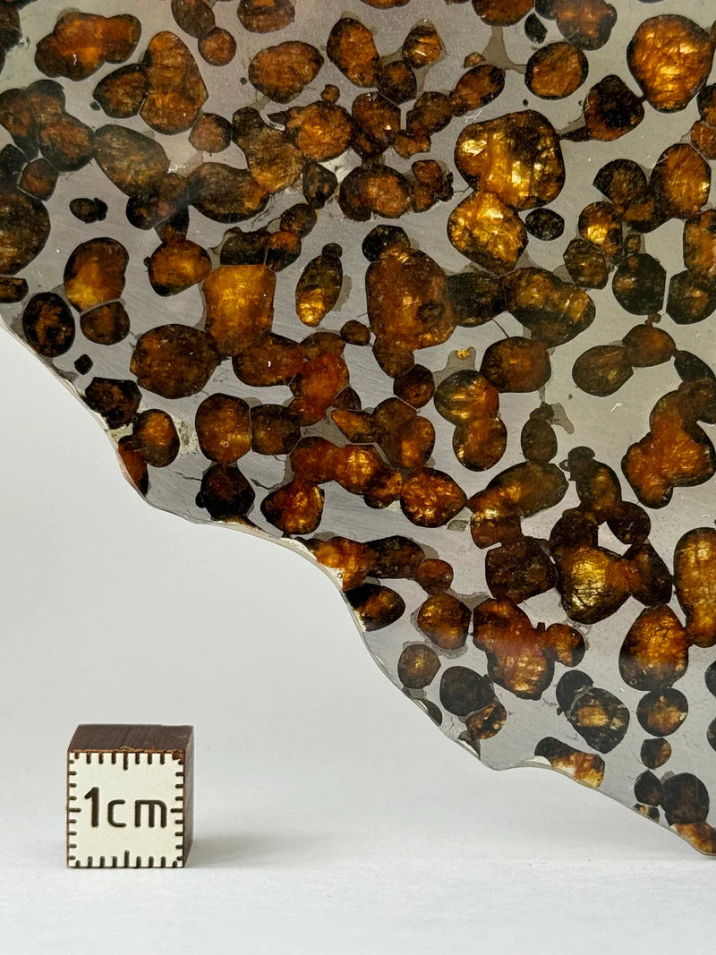 Sericho Meteorite Specimen – 87.90g | Kenya