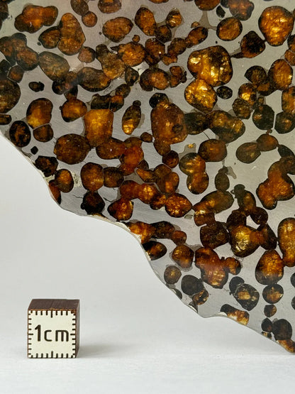 Sericho Meteorite Specimen – 87.90g | Kenya