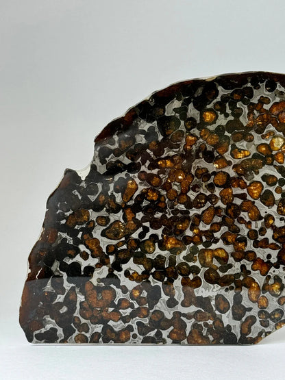 Sericho Meteorite Specimen – 87.90g | Kenya