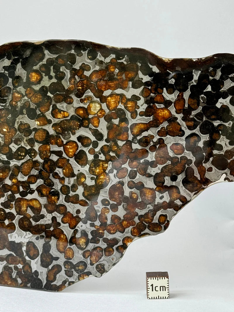 Sericho Meteorite Specimen – 87.90g | Kenya