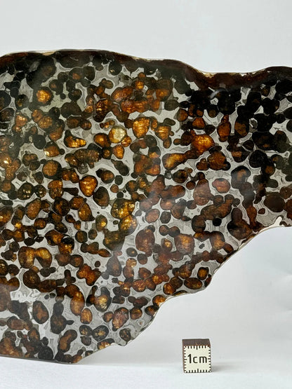 Sericho Meteorite Specimen – 87.90g | Kenya