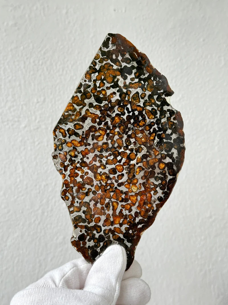 Sericho Meteorite Specimen – 87.90g | Kenya