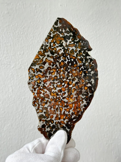 Sericho Meteorite Specimen – 87.90g | Kenya