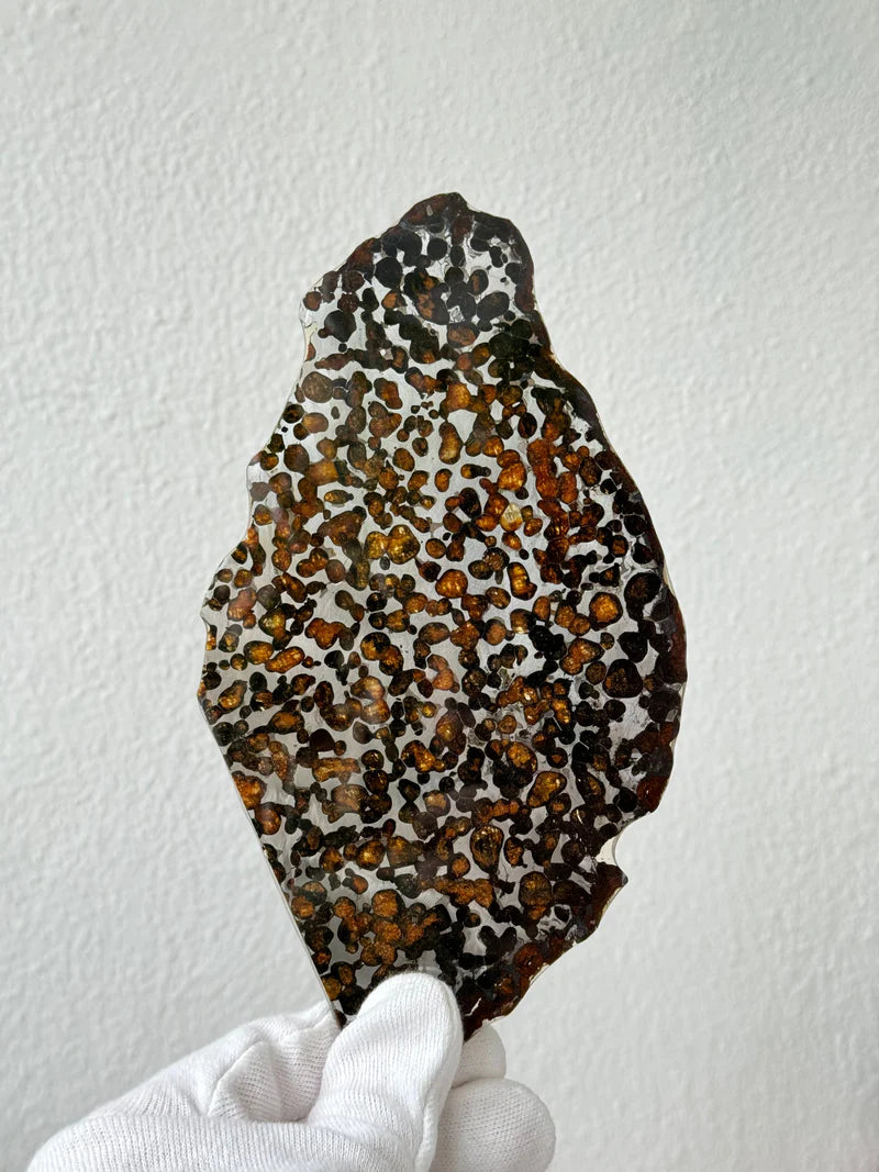 Sericho Meteorite Specimen – 87.90g | Kenya