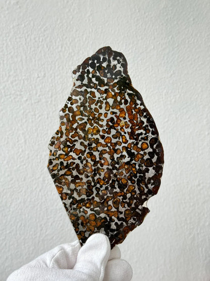 Sericho Meteorite Specimen – 87.90g | Kenya
