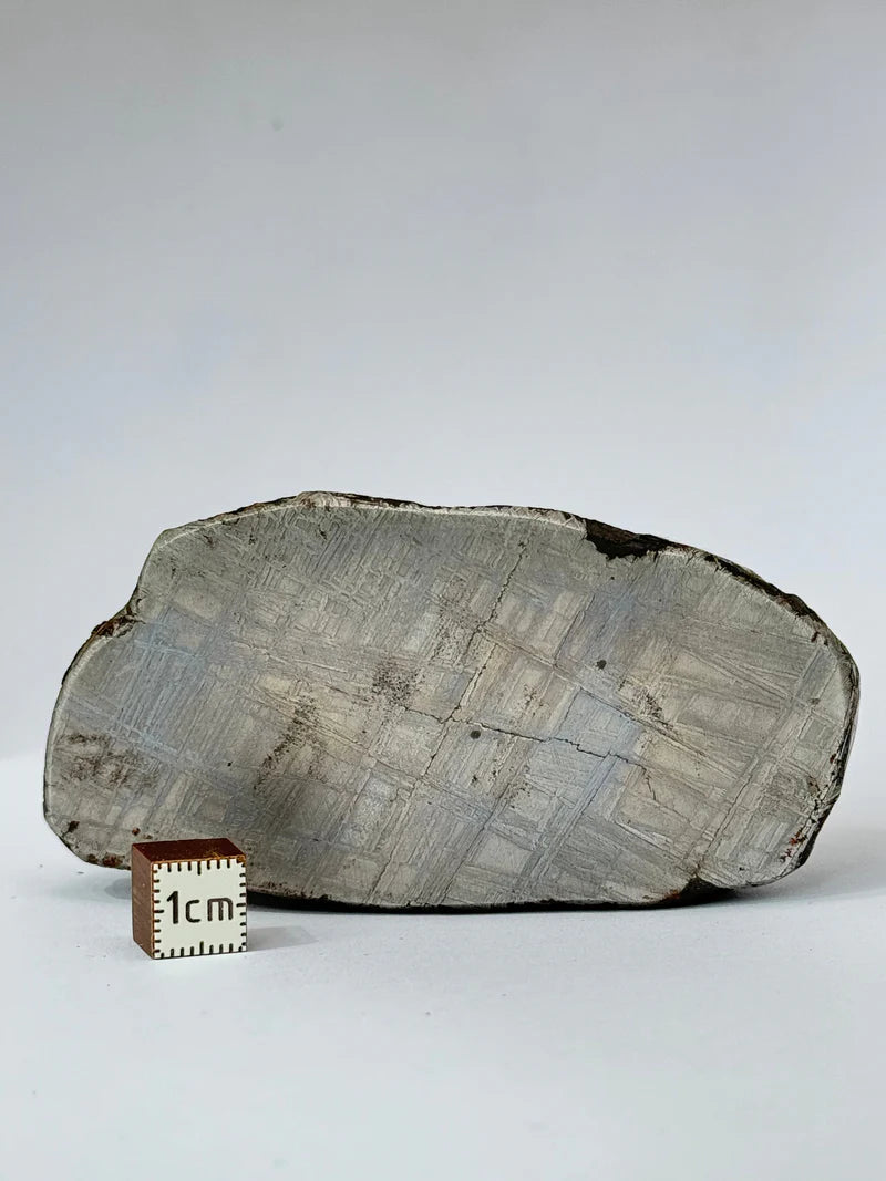 Muonionalusta Meteorite End-Cut – 580g | Sweden