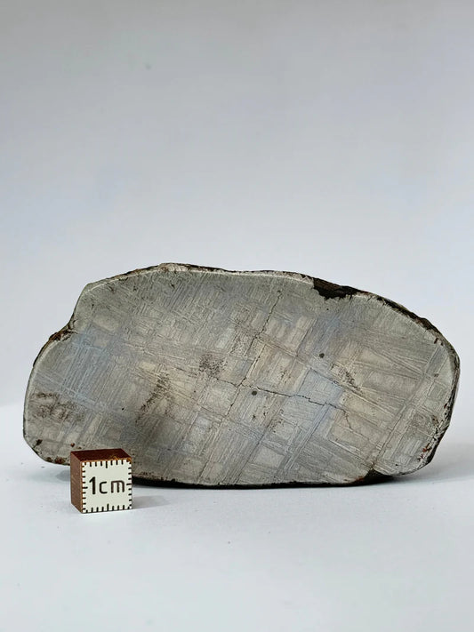 Muonionalusta Meteorite End-Cut – 580g | Sweden