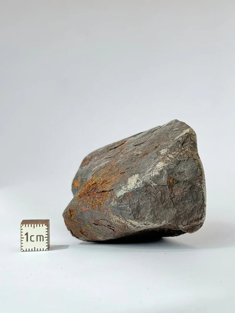 Muonionalusta Meteorite End-Cut – 580g | Sweden