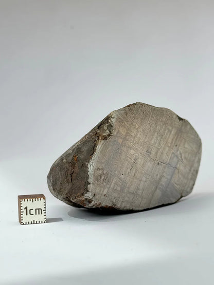 Muonionalusta Meteorite End-Cut – 580g | Sweden