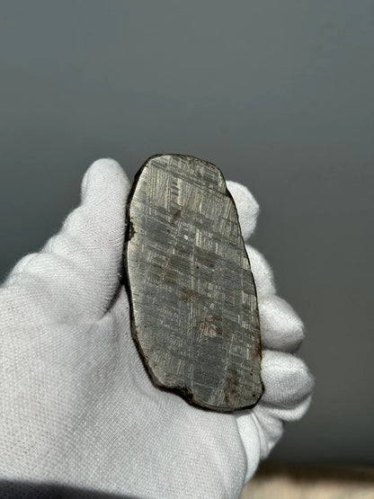 Muonionalusta Meteorite End-Cut – 580g | Sweden
