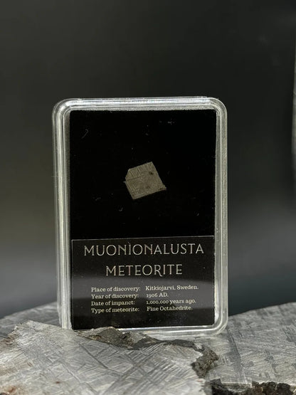 Muonionalusta Meteorite – 1g in Display Box | Sweden