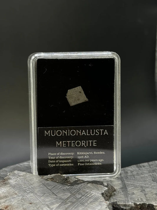 Muonionalusta Meteorite – 1g in Display Box | Sweden