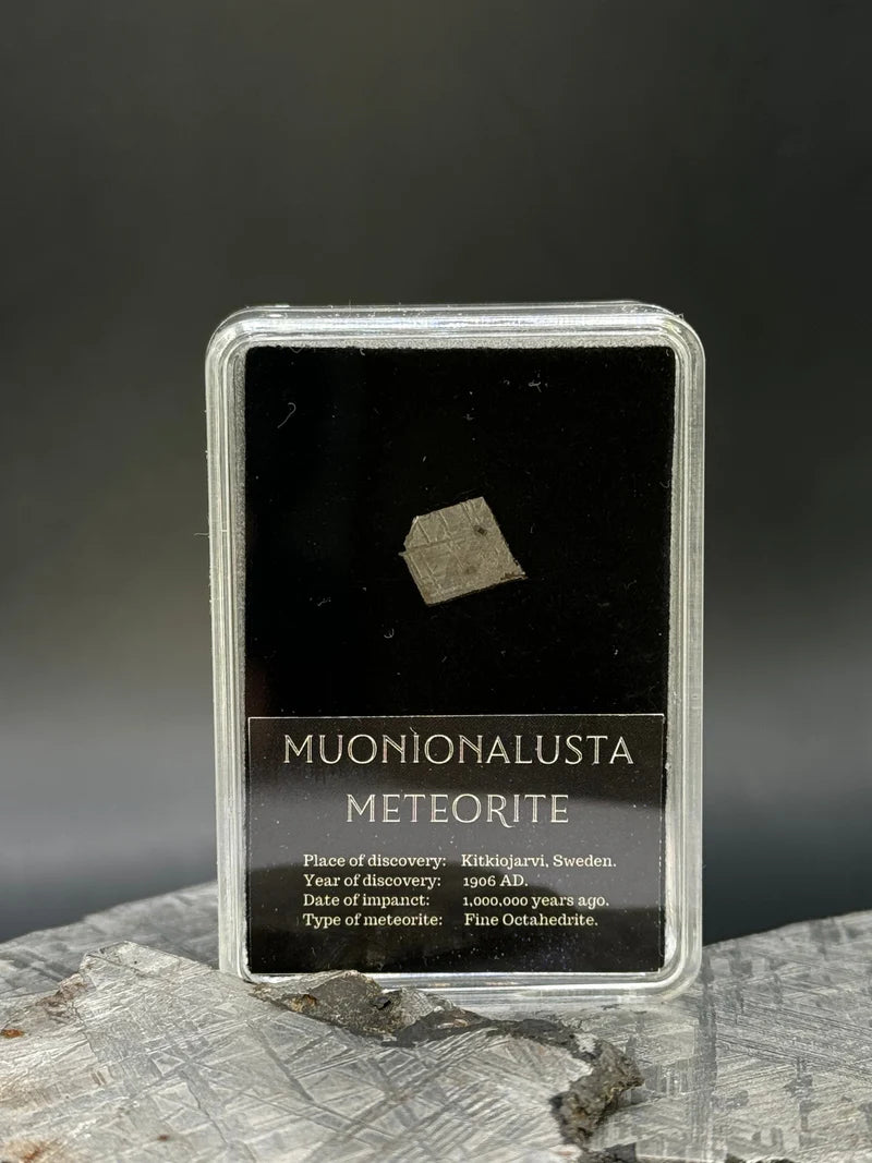 Muonionalusta Meteorite – 1g in Display Box | Sweden