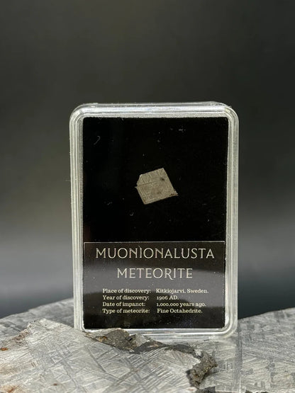 Muonionalusta Meteorite – 1g in Display Box | Sweden