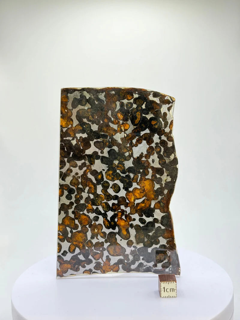 Sericho Meteorite Sample – 59.46g | Kenya