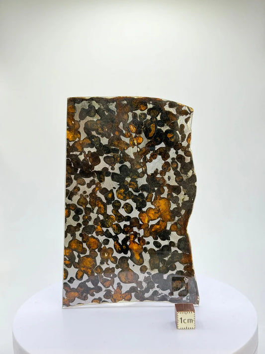 Sericho Meteorite Sample – 59.46g | Kenya