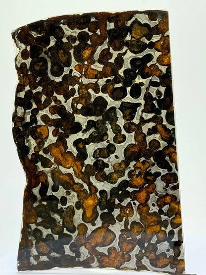 Sericho Meteorite Sample – 59.46g | Kenya