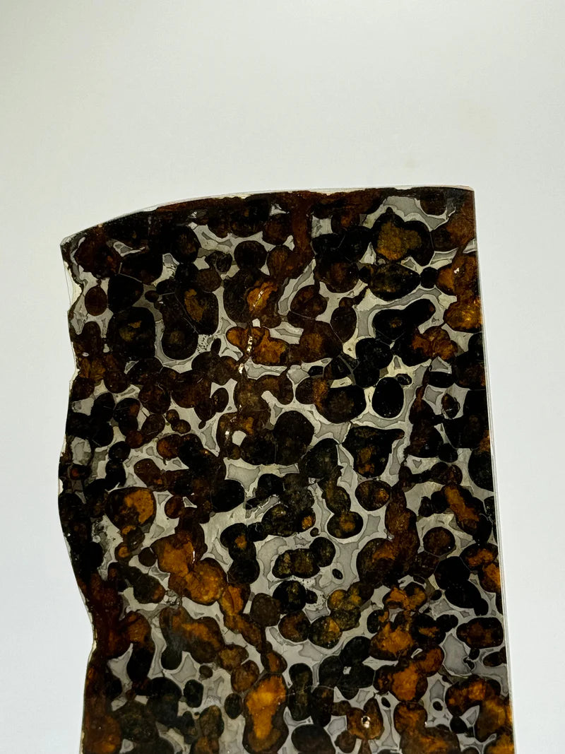 Sericho Meteorite Sample – 59.46g | Kenya