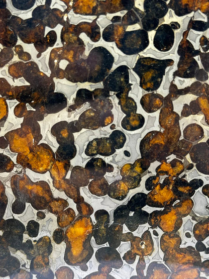 Sericho Meteorite Sample – 59.46g | Kenya