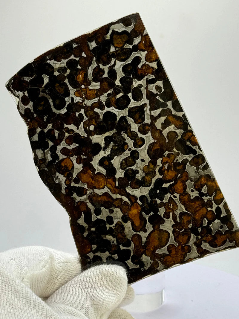 Sericho Meteorite Sample – 59.46g | Kenya