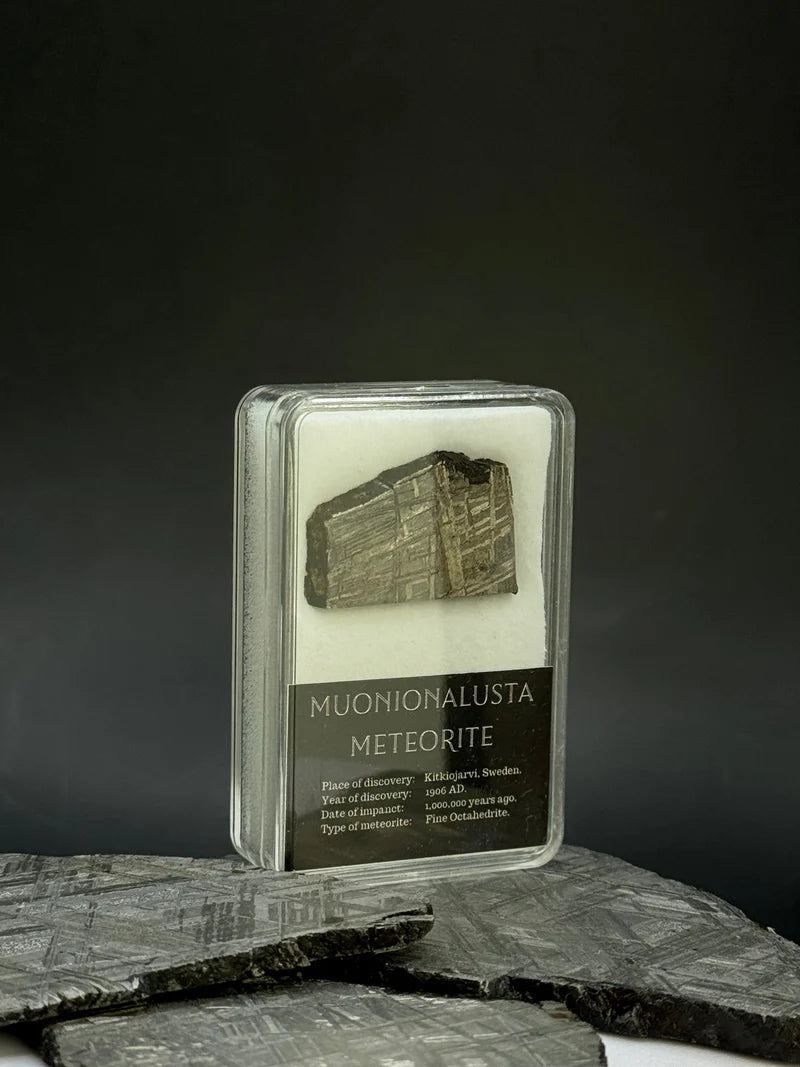 Muonionalusta Meteorite Display – 7.44g Encased Specimen