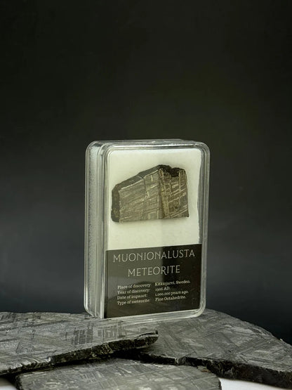 Muonionalusta Meteorite Display – 7.44g Encased Specimen