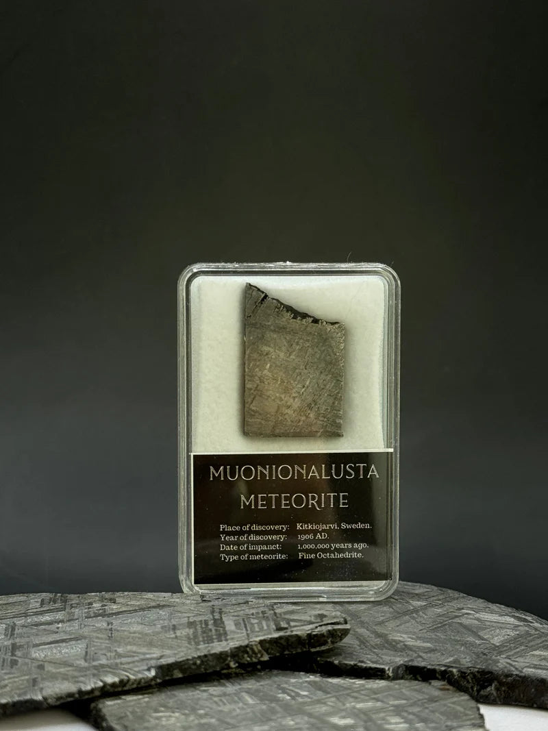 Muonionalusta Meteorite Display – 10.11g Encased Specimen