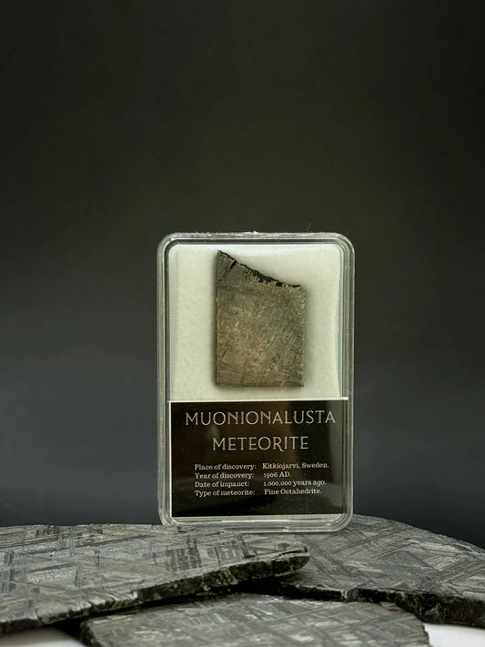 Muonionalusta Meteorite Display – 10.11g Encased Specimen