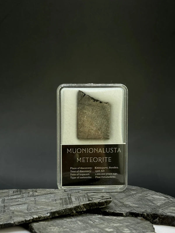 Muonionalusta Meteorite Display – 10.11g Encased Specimen