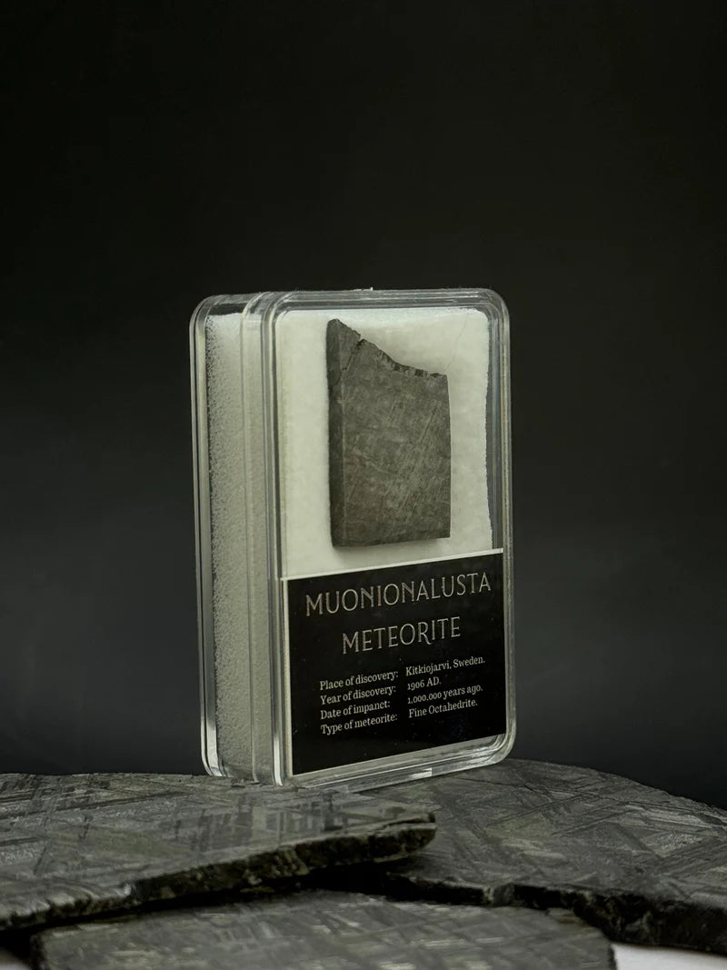 Muonionalusta Meteorite Display – 10.11g Encased Specimen