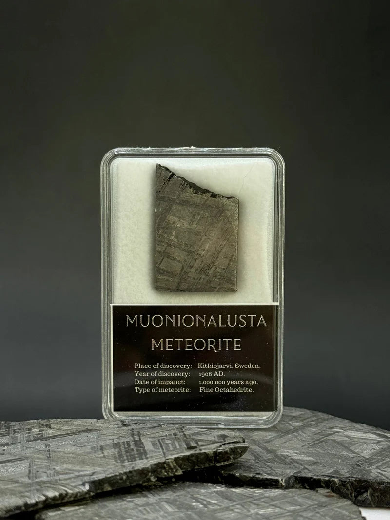Muonionalusta Meteorite Display – 10.11g Encased Specimen