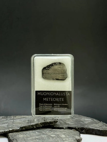 Muonionalusta Meteorite Display – 6.8g Encased Specimen