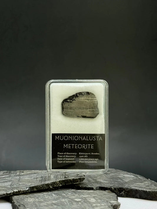 Muonionalusta Meteorite Display – 6.8g Encased Specimen