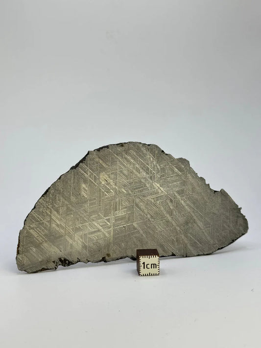 Muonionalusta Meteorite Slice – 143.21g | Sweden