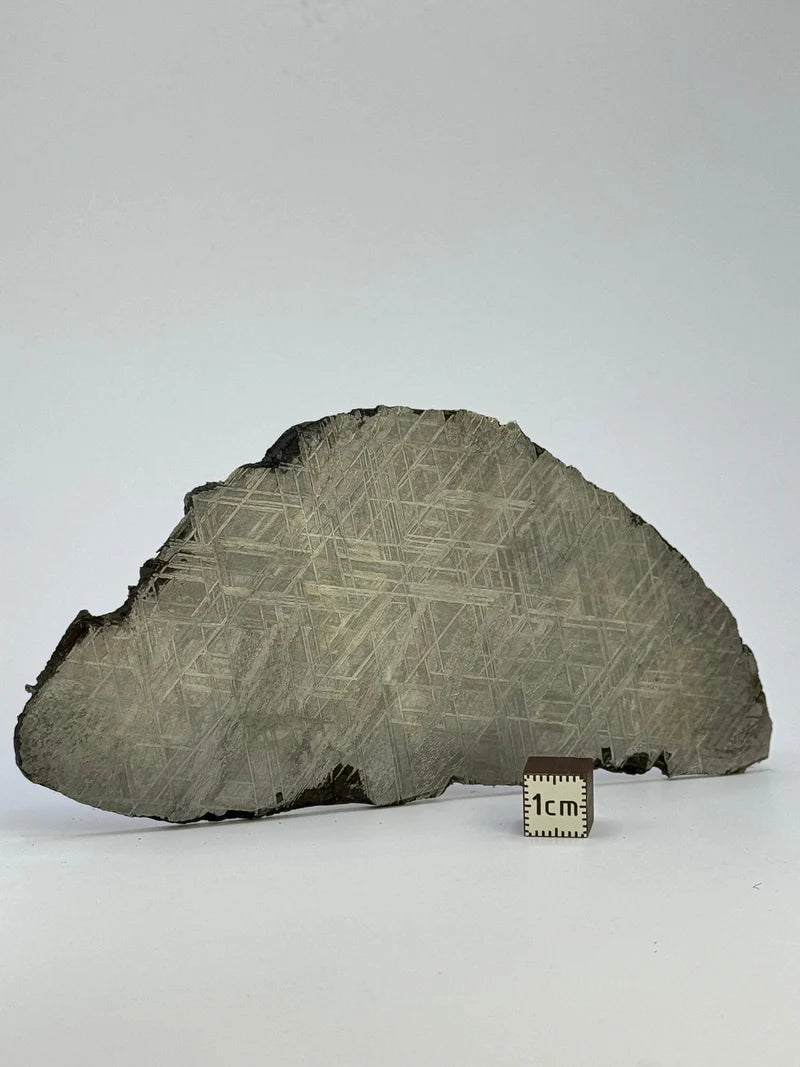 Muonionalusta Meteorite Slice – 143.21g | Sweden