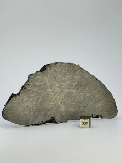 Muonionalusta Meteorite Slice – 143.21g | Sweden