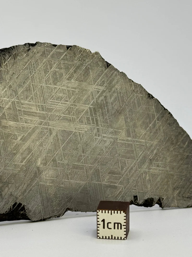 Muonionalusta Meteorite Slice – 143.21g | Sweden