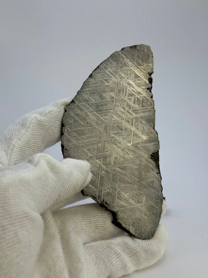 Muonionalusta Meteorite Slice – 143.21g | Sweden