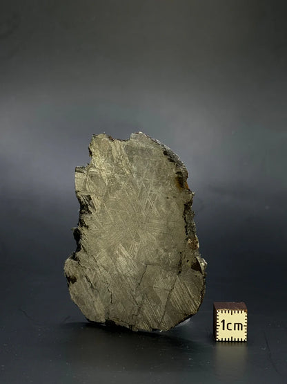 Muonionalusta Meteorite Fragment – 51.92g | Sweden