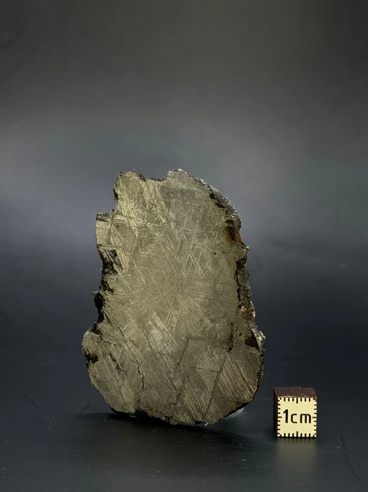 Muonionalusta Meteorite Fragment – 51.92g | Sweden