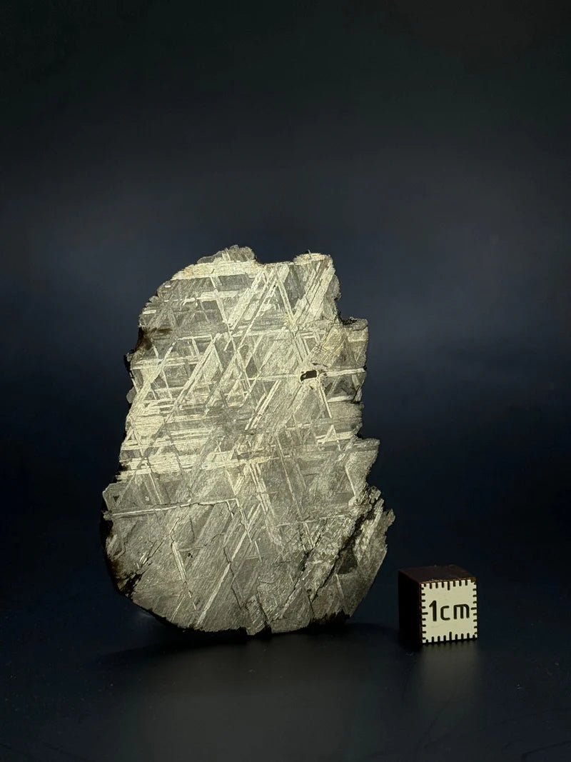 Muonionalusta Meteorite Fragment – 51.92g | Sweden