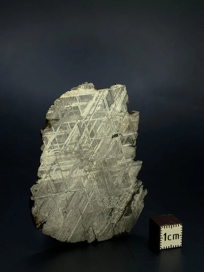 Muonionalusta Meteorite Fragment – 51.92g | Sweden