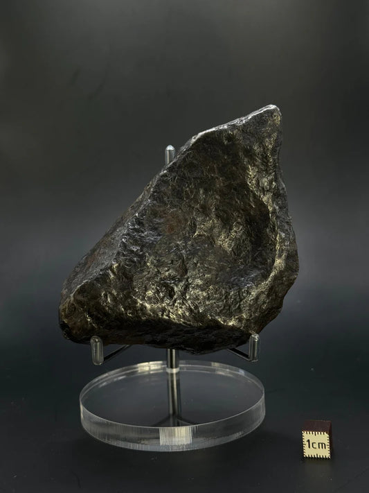 Muonionalusta Whole Meteorite – 1217g | Sweden